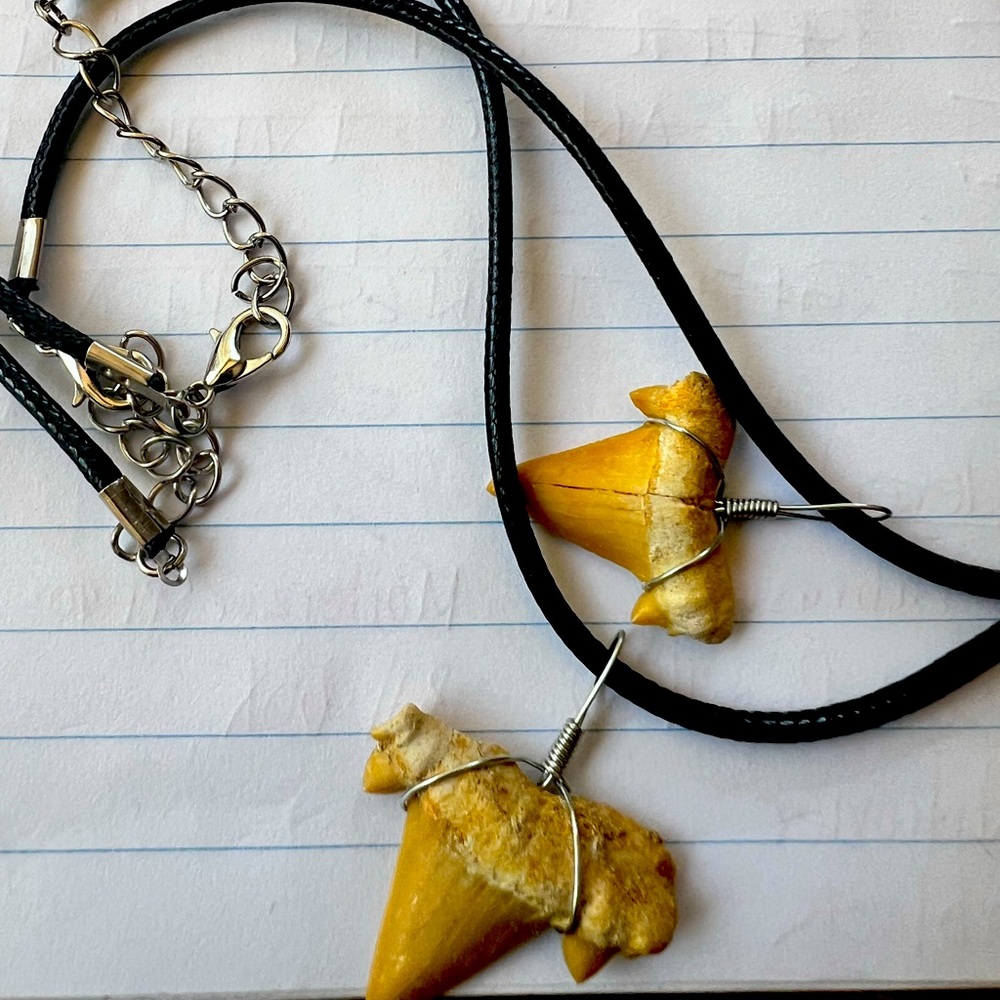 Shark Tooth necklace.’ .Yummy ‘